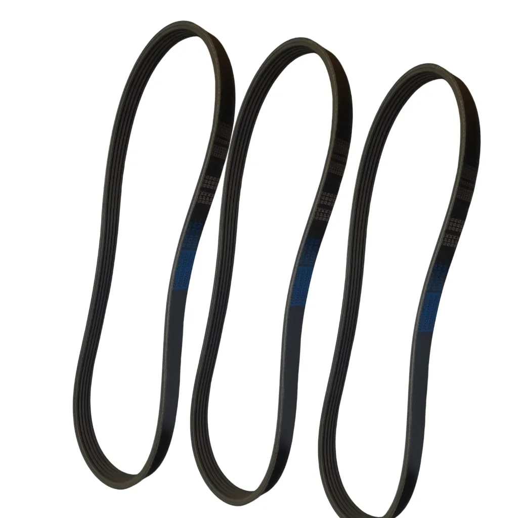 Belt 5pk865 [Rofan](made in Korea)