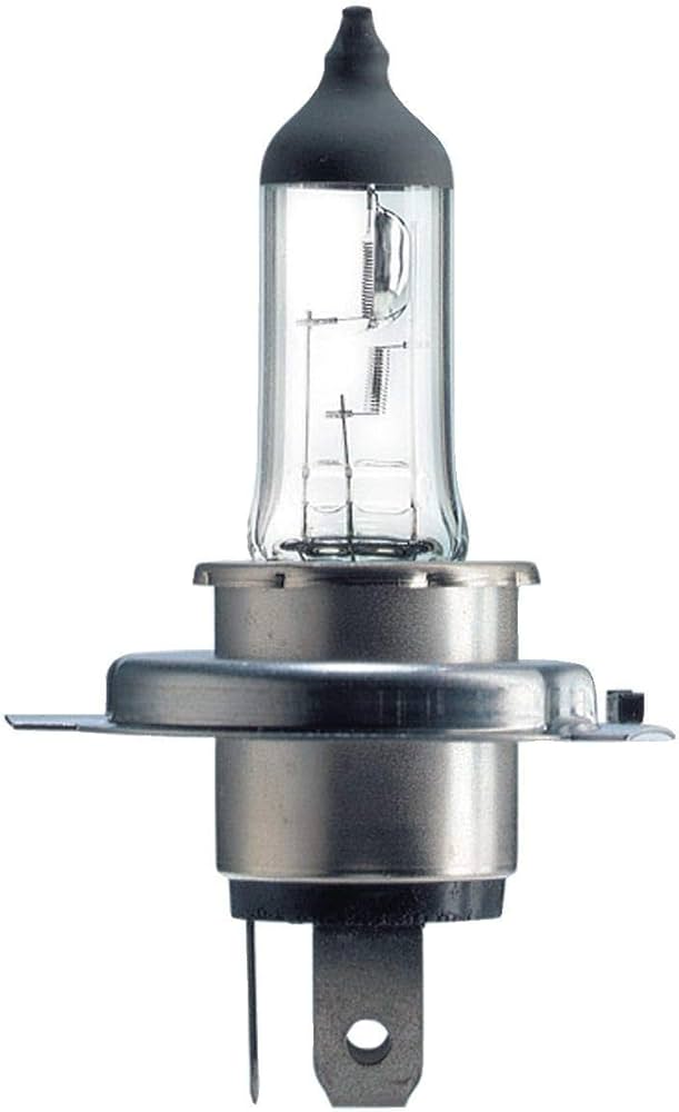 [L081] Lamp H4 12V 55W [Philips]