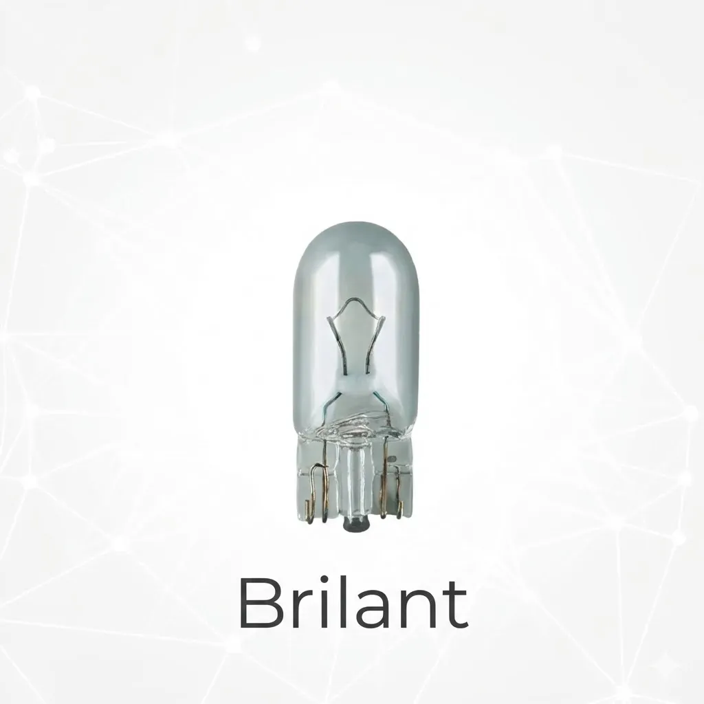 Lamp W5W 12 Volt [Brilant](made in China)